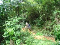 Elefantridning Kaho Sok 013