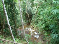 Elefantridning Kaho Sok 014