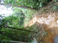 Elefantridning Kaho Sok 015