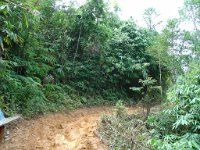 Elefantridning Kaho Sok 016