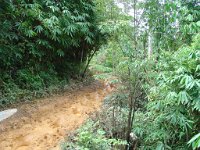 Elefantridning Kaho Sok 017