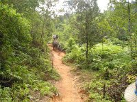 Elefantridning Kaho Sok 027