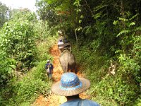 Elefantridning Kaho Sok 031