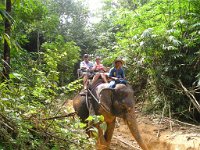 Elefantridning Kaho Sok 033