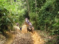 Elefantridning Kaho Sok 034