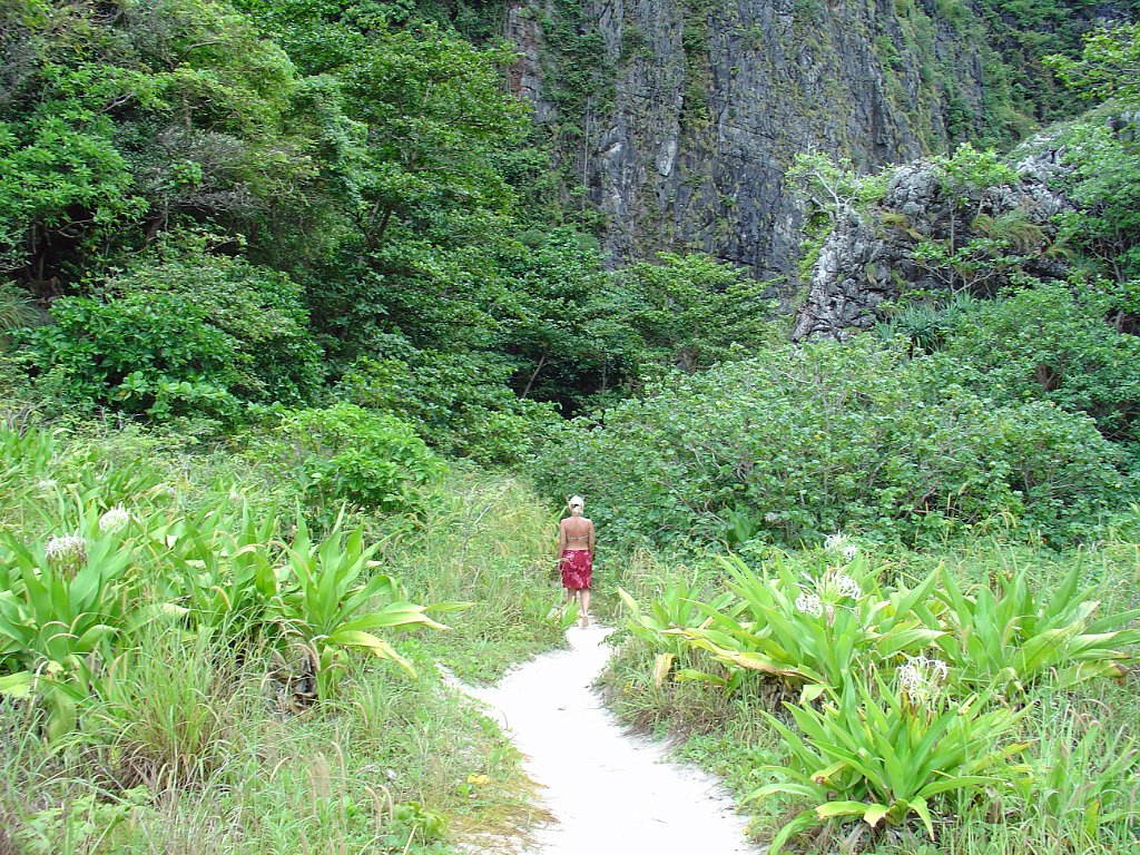 Phi-Phi Islands 013
