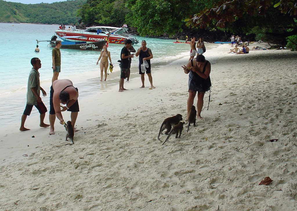 Phi-Phi Islands 021