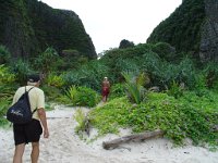 Phi-Phi Islands 010