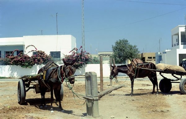 Tunisien 03
