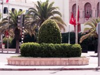 Tunisien 65