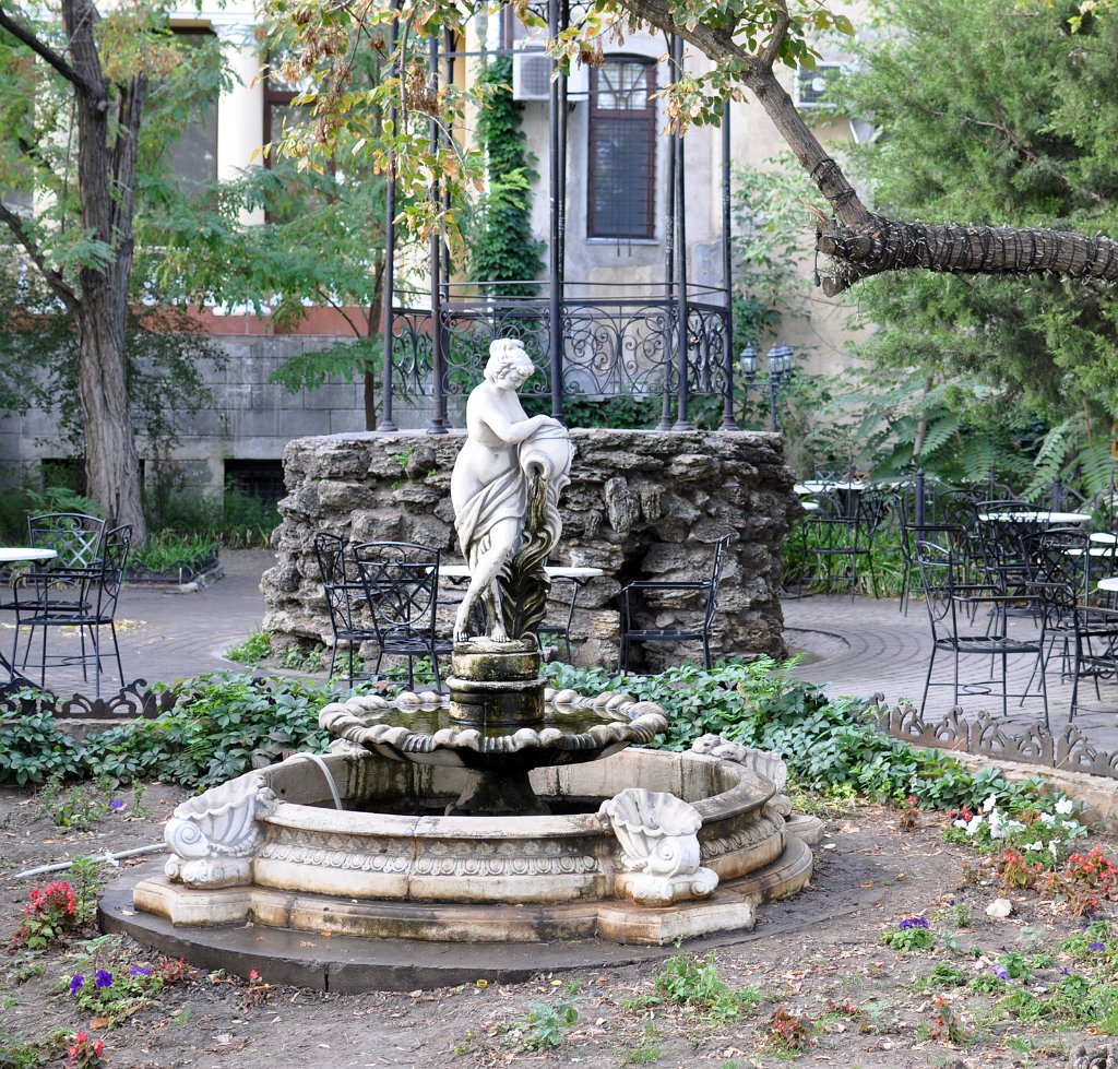 DSC 7145