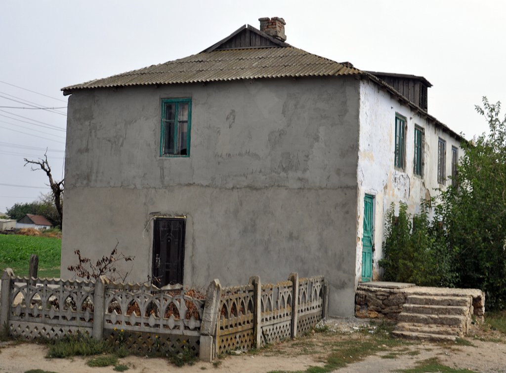 DSC 7355