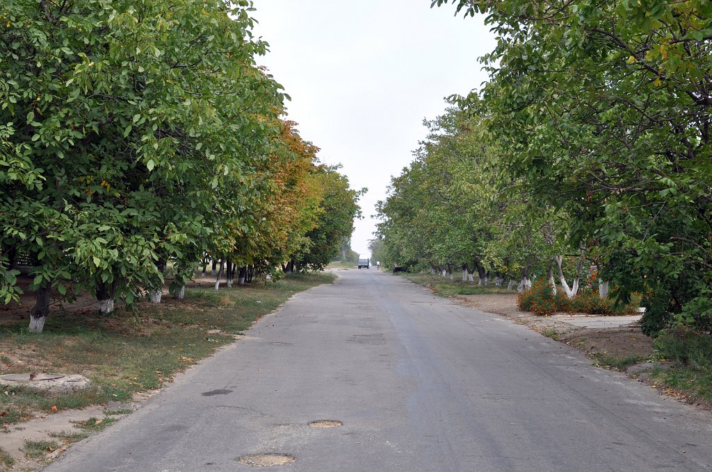 DSC 7358