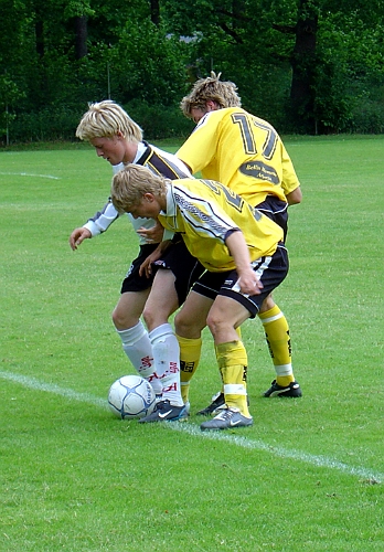 2004_0619_16.jpg - Bollen på linjen, kommer den att gå till inkast ???