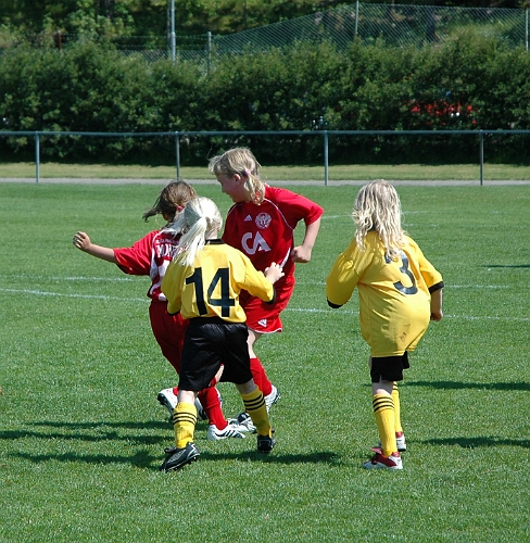 09-2007-02.JPG - ASIF F00/01 - Fellingsbro GoIF