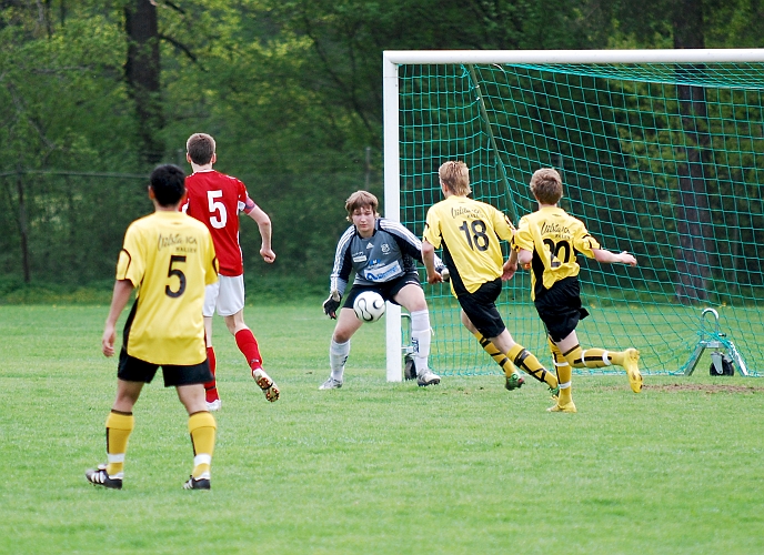 2010_0520_07.JPG - "Basse" Karlsson är framme och oroar Hallstamålvakten