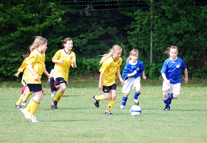 2010_0605_02-03.JPG - F00/01 - Skinnskattebergs SK