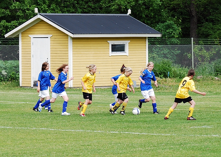 2010_0605_02-11.JPG - F00/01 - Skinnskattebergs SK