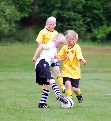 2011_0528_04-12.JPG - F02 - Kolsva IF